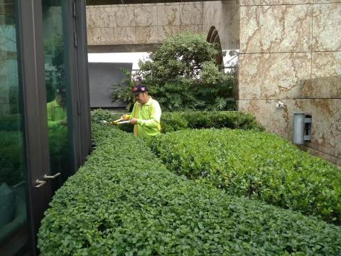 伍賀喬木工程有限公司 - 