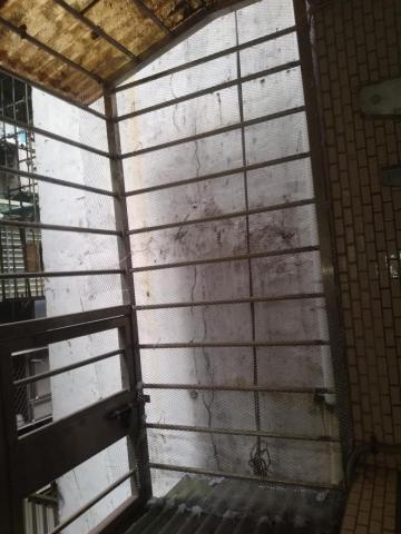 嘉澤滅鼠封堵防治工程 - 鼠網封堵 嘉澤滅鼠封堵防治工程 - 鼠網封堵