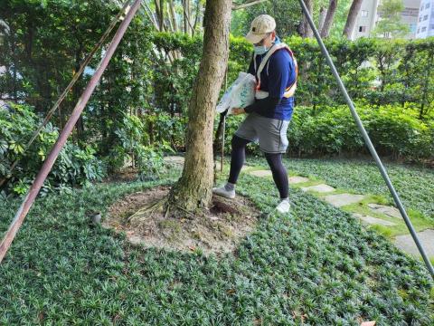 伍賀喬木工程有限公司 - 