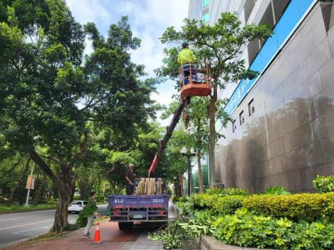 伍賀喬木工程有限公司 - 