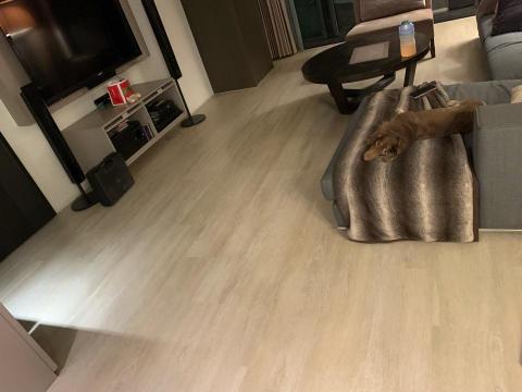 鴻儀Spc卡扣式地版-維修、代購材料、裝設踢腳板 - 