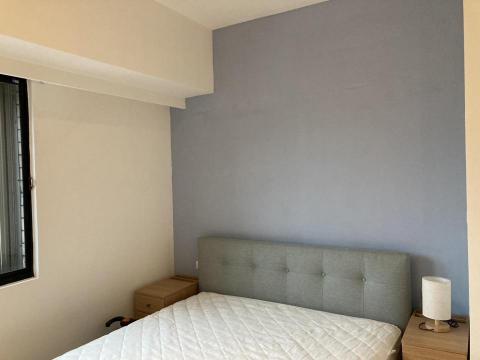 洪瑞鴻 - 房間跳色