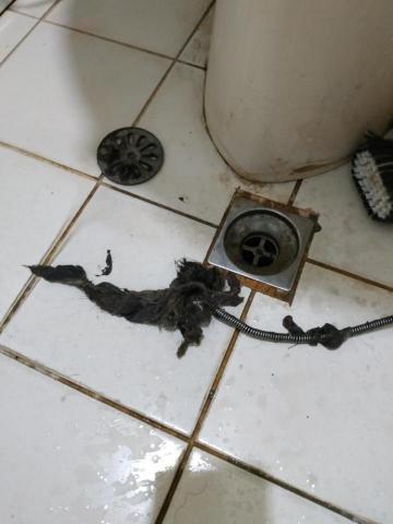 力凡衛生工程行 - 