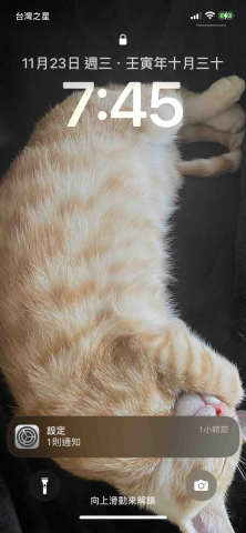 提供特效服務的專家Yi-ting Chen