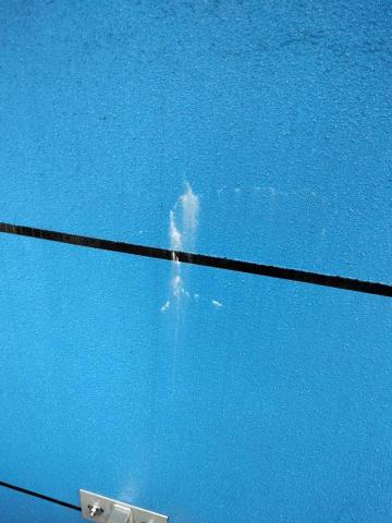 新立外牆繩索工程 - 外牆白樺處理