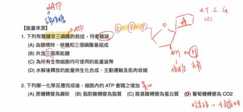 張萬宏 - 找尋適當題目搭配課程，加深當週課程的印象