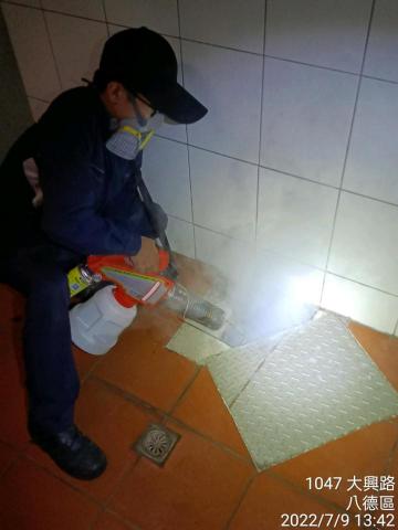 遠恆環衛 無效不收費 - 蟑螂防治