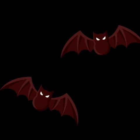 提供Shopify Wix Shopline架站服務的專家Ning Ning