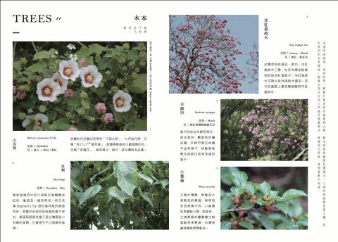 李迎華 - 由我編製的浮洲濕地手冊局部內容