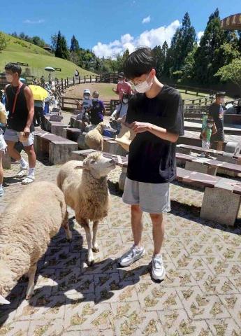 文山區陪玩姐姐推薦李晨旭 國英數家教 伴讀（暫接