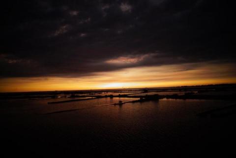 七七 - 於台南市北門區的單眼拍攝