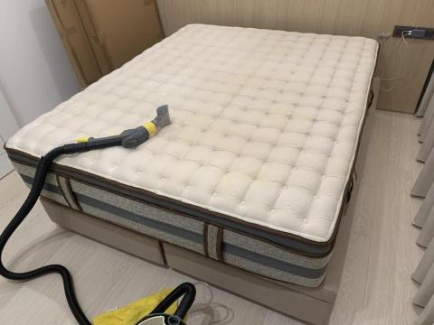 懶人除蟎服務-居家環境守護健康 - 