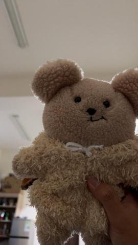 蘇家強 - 可愛小熊