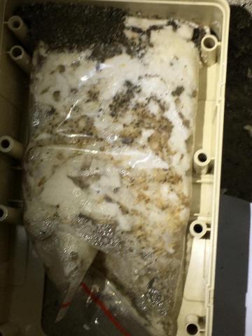 桃唐專業驅蟲企業社 - 客戶需求:不希望室內有藥劑 安全的方式處裡白蟻 
施工方式:使用生物工法 利用白蟻吃的原理 調配藥劑
使用生長調節劑 使工蟻無法脫殼 導致連鎖效應 
使蟻后無工蟻進行餵食 最終蟻后餓死 導致白蟻巢穴滅亡