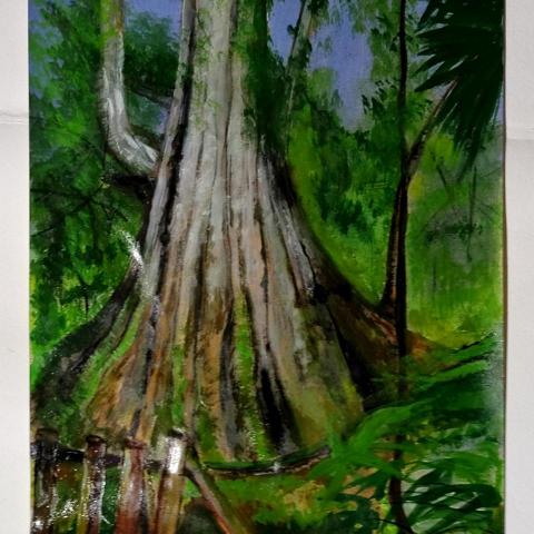 提供塗鴉服務的專家Daner