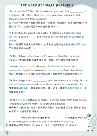 芳妤 Lily ｜林口區最專業 台大家教老師 - 自製講義～協助理解課文與關鍵單字