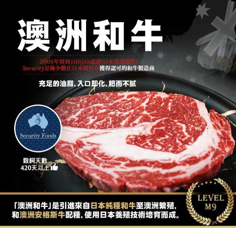 吳庭庭 -  吳庭庭 -