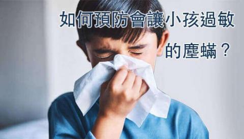 懶人除蟎服務公司 - 