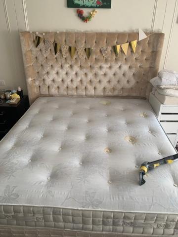 懶人除蟎服務-居家環境守護健康 - 