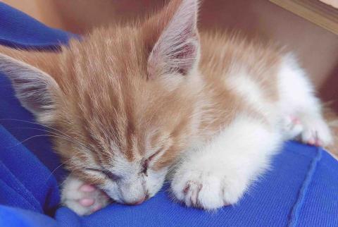 提供edm服務的專家Grace