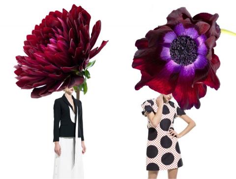 Ming N 吳錦明 -  Ming N 吳錦明 -