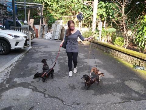 張小庭 - 到府服務，飼主安心！?