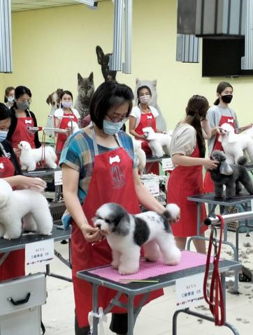 張小庭 - 考取證照，狗爸狗媽請放心，美容洗澡有良心！?