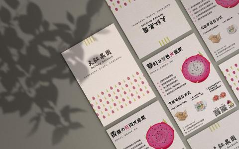 吾月設計(快速部門) -  吾月設計(快速部門) -