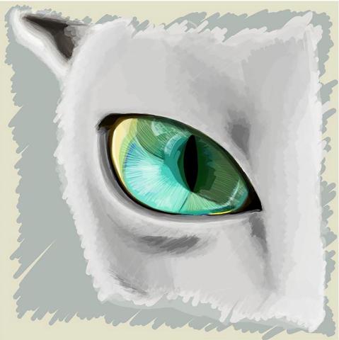 Rin33 ART - 日常電繪練習-貓眼 Rin33 ART - 日常電繪練習-貓眼