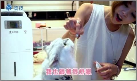 凱吉思數位整合股份有限公司 - 協助社群經營 短視頻輕影片 撰寫腳本與攝製