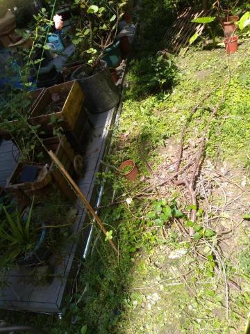 嘉澤滅鼠封堵防治工程 - 庭院花園防鼠封堵 嘉澤滅鼠封堵防治工程 - 庭院花園防鼠封堵