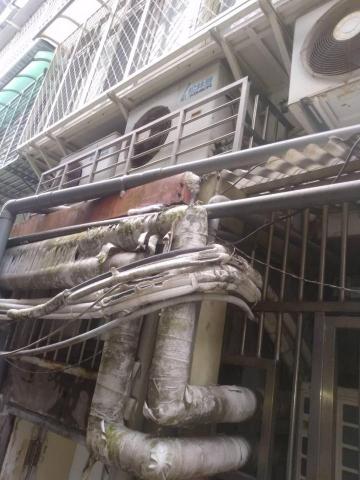 嘉澤滅鼠封堵防治工程 - 老鼠鐵皮加蓋封堵 嘉澤滅鼠封堵防治工程 - 老鼠鐵皮加蓋封堵