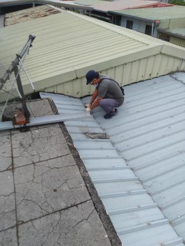 嘉澤滅鼠封堵防治工程 - 鐵皮屋屋頂老鼠封堵 嘉澤滅鼠封堵防治工程 - 鐵皮屋屋頂老鼠封堵