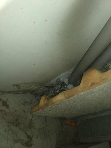 嘉澤滅鼠封堵防治工程 - 老鼠鐵皮室內封堵 嘉澤滅鼠封堵防治工程 - 老鼠鐵皮室內封堵