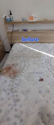 日光清潔個人工作室 - 