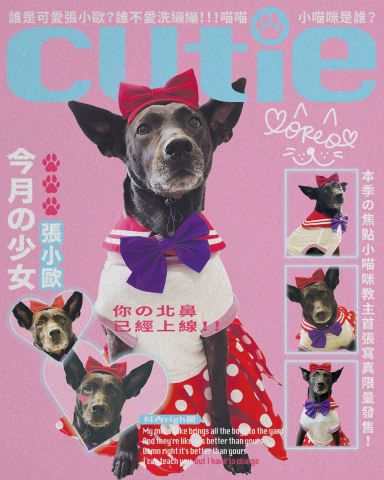 一隅| Illustrator | Design - 寵物海報設計