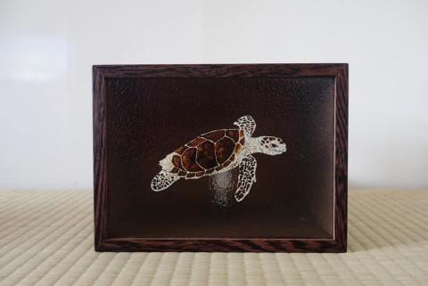 郭寬柔 - 海龜燈箱 - 壓克力顏料玻璃手繪