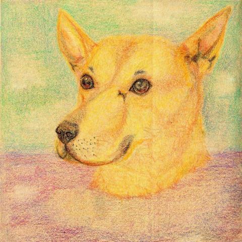 郭寬柔 - 家中成員