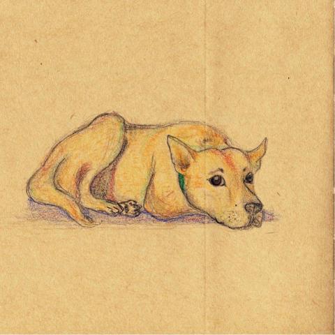 郭寬柔 - 家中成員