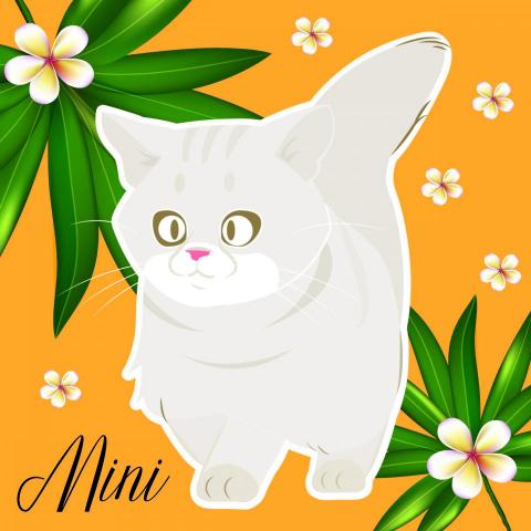 林鈺扉 -  林鈺扉 -