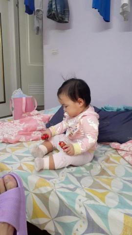 提供棒球精緻旅店服務的專家波特國內外精緻搬家