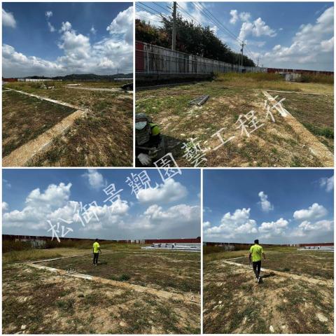 松御景觀園藝工程行 - 割草 松御景觀園藝工程行 - 割草