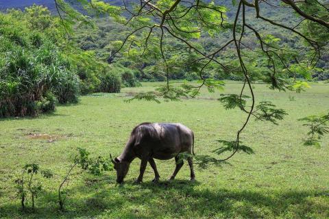 Ming N 吳錦明 -  Ming N 吳錦明 -