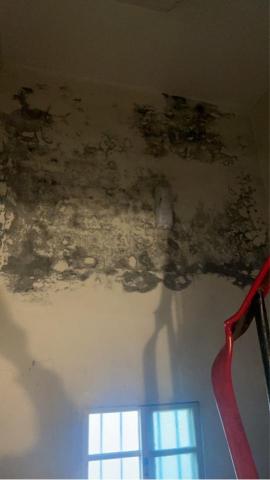 九鼎聯合工程有限公司 - 壁癌處理-施工前