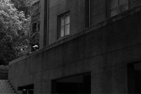 Ming N 吳錦明 -  Ming N 吳錦明 -