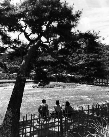 Ming N 吳錦明 -  Ming N 吳錦明 -