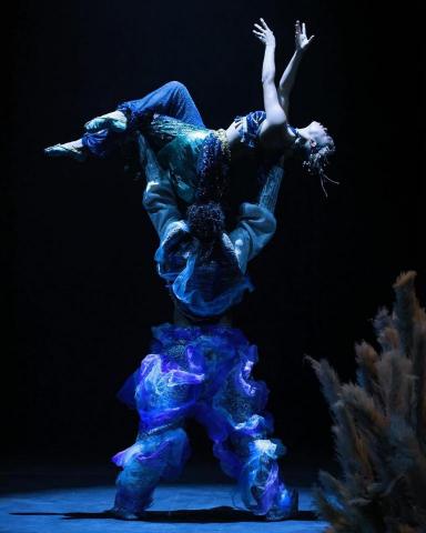 Ming N 吳錦明 -  Ming N 吳錦明 -