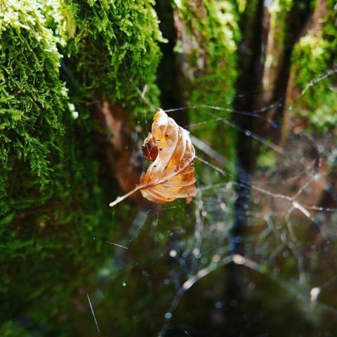 Ming N 吳錦明 -  Ming N 吳錦明 -