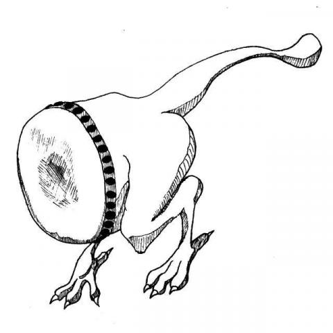 JS線條插畫與簡易修圖 - 鐳鼓龍