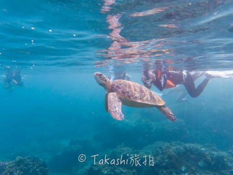 Takashi攝影 - 水下攝影